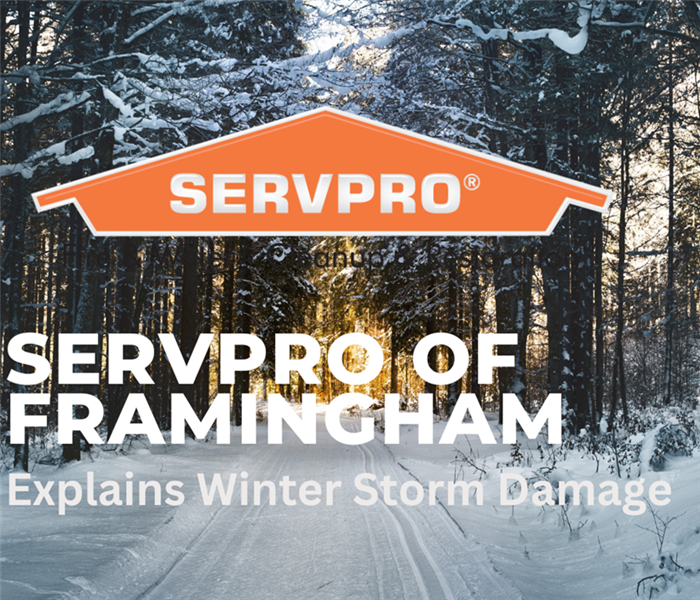 Winter with green text box and Orange SERVPRO logo