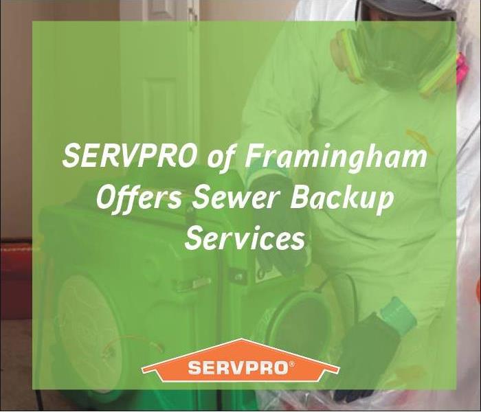 image with green text and SERVPRO logo 