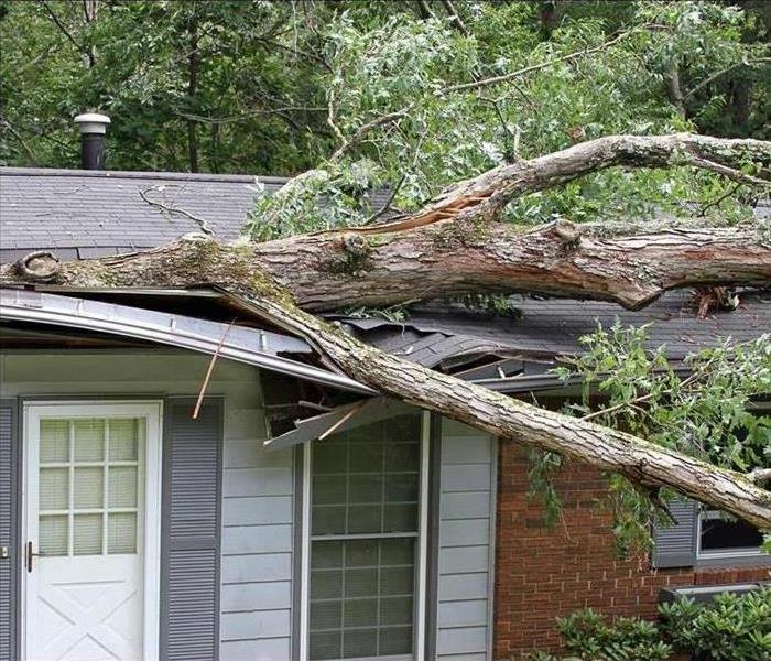 Fallen tree limb that has destroyed the roof of a home
